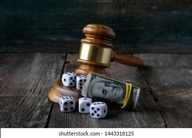 开云电竞欧洲法规政策解读